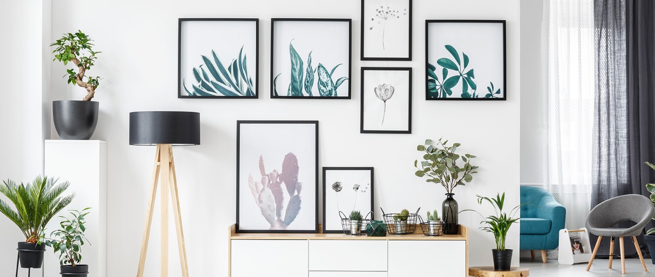 photo frames hanging on wall with potted plants